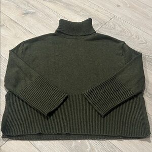 GAP Olive Knit Turtleneck Sweater